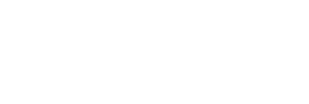 White Logo Insurance