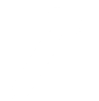 Dental hygienists